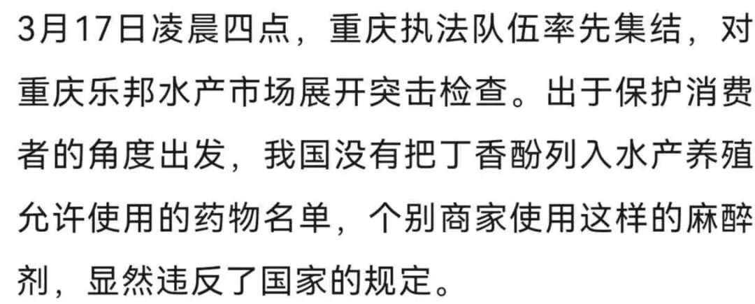 “活鱼被人为麻醉”,央视曝光多地水产市场、生产企业和餐饮门店 “活鱼被人为麻醉”,央视曝光多地水产市场、生产企业和餐饮门店