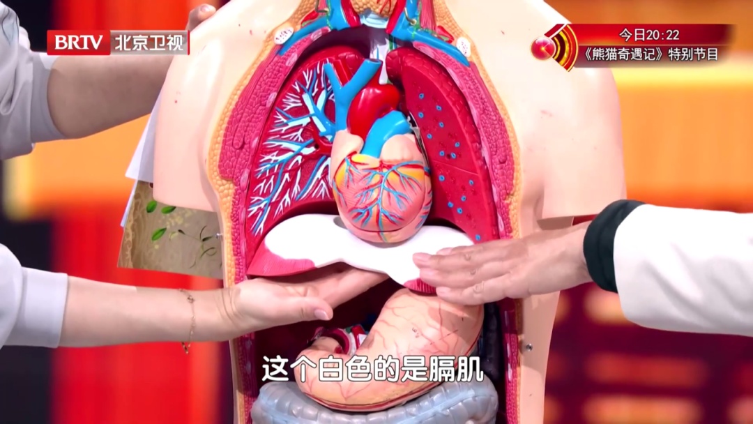 嗓子不适或是心梗前兆!7步自救速学 嗓子不适或是心梗前兆!7步自救速学