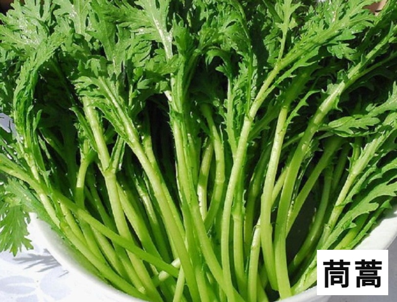 这不是“菜”，更不是“药”！种一株也违法，别让侥幸触碰法律红线