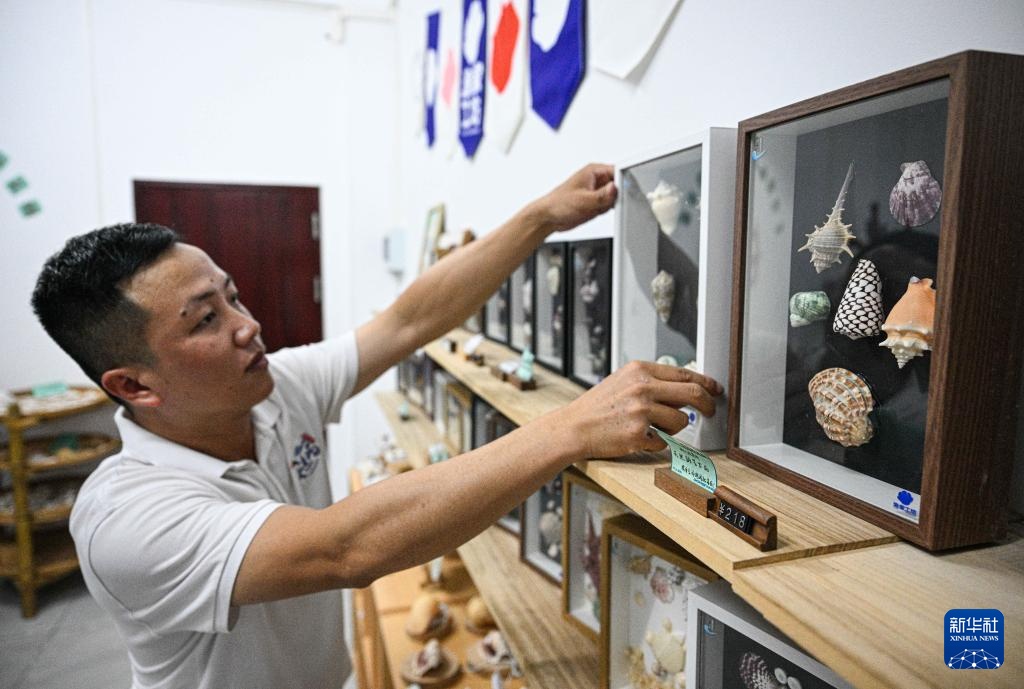 海南三沙赵述岛：从荒芜小岛到生态家园