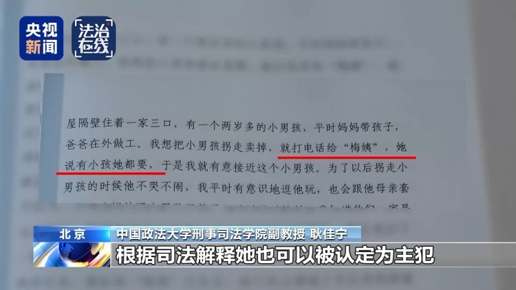 “梅姨”如何落网？何时公布照片？警方披露案件侦办细节