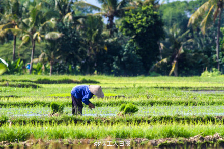 建议农民养老金标准高于低保