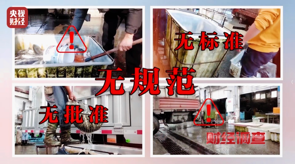 活鱼被人为麻醉流向餐桌,可能“喝过”工业酒精!《财经调查》曝光→ 活鱼被人为麻醉流向餐桌,可能“喝过”工业酒精!《财经调查》曝光→
