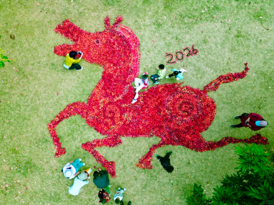 全国网友求邮寄!深圳的木棉花开到了东北的雪地里 全国网友求邮寄!深圳的木棉花开到了东北的雪地里