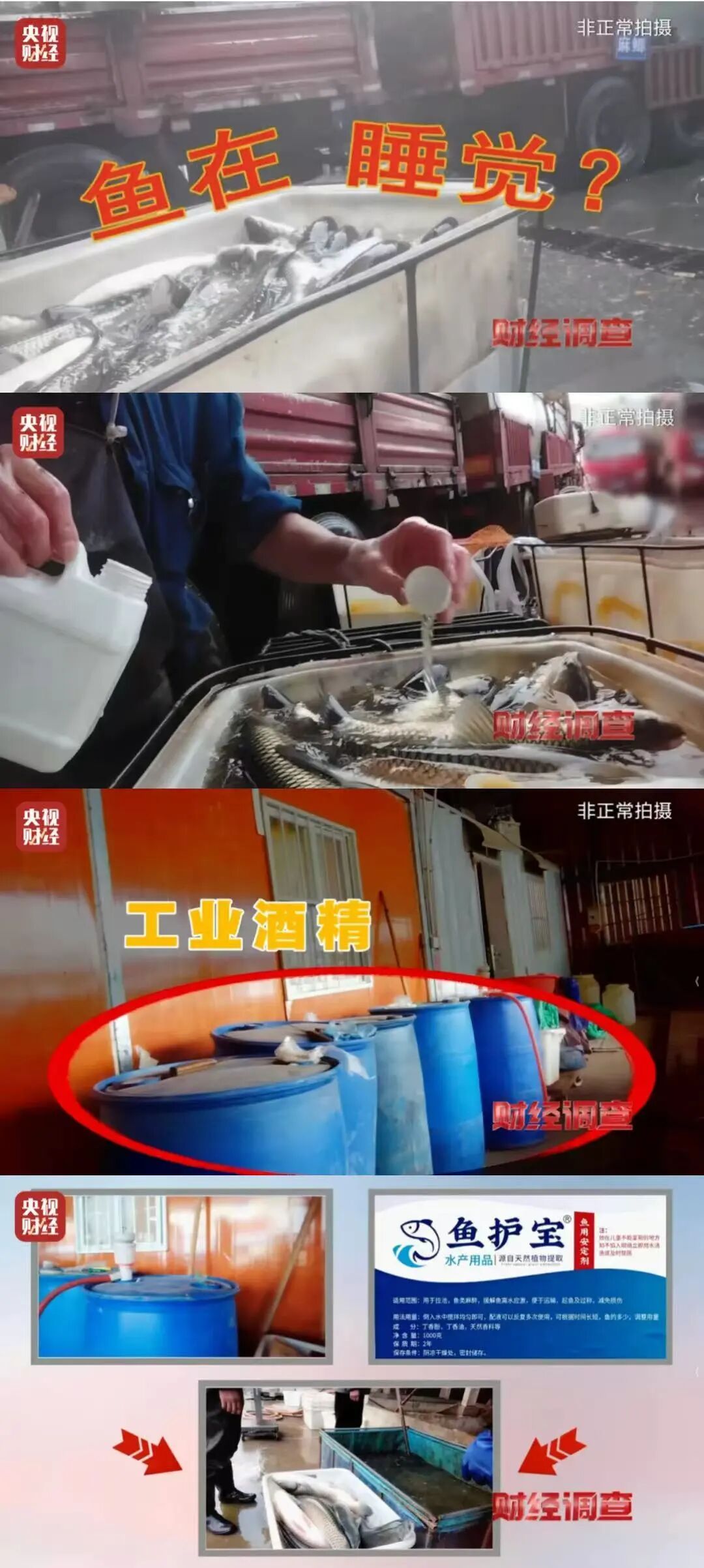 央视曝光“活鱼被人为麻醉”，涉事市场及商户被立案调查