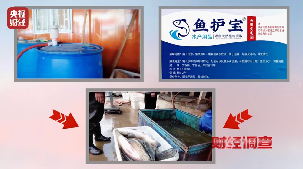 活鱼被人为麻醉流向餐桌,可能“喝过”工业酒精!《财经调查》曝光→ 活鱼被人为麻醉流向餐桌,可能“喝过”工业酒精!《财经调查》曝光→