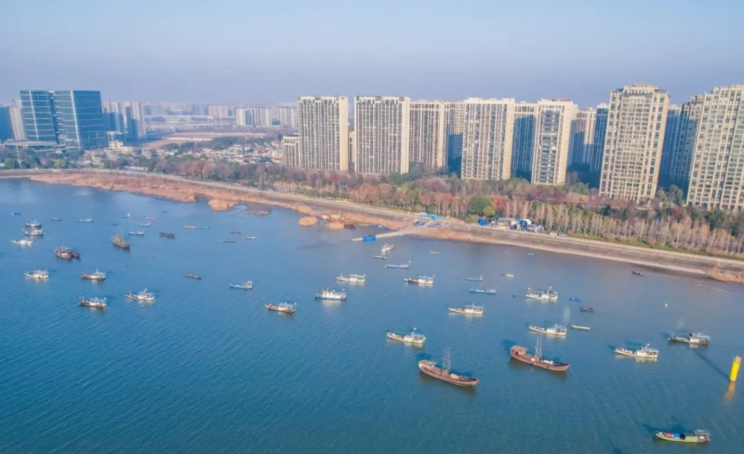 杭州多人穿戴装备在钱塘江电鱼?渔业监管处工作人员:正处于禁渔期,会继续监控处理 杭州多人穿戴装备在钱塘江电鱼?渔业监管处工作人员:正处于禁渔期,会继续监控处理