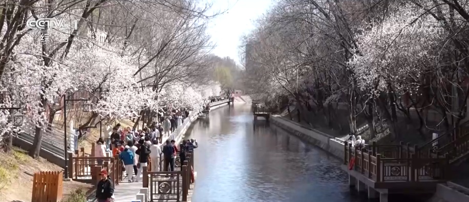 以花为“媒”、以食“留”客、以景“引”客 撬动“春日经济”好前景