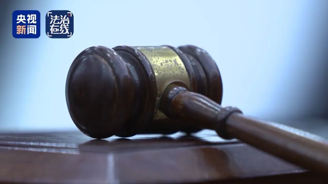 “梅姨”如何落网?何时公布照片?案件侦办细节来了 “梅姨”如何落网?何时公布照片?案件侦办细节来了