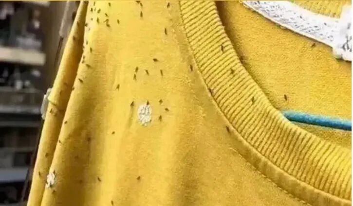 注意！最近少穿三种衣服出门