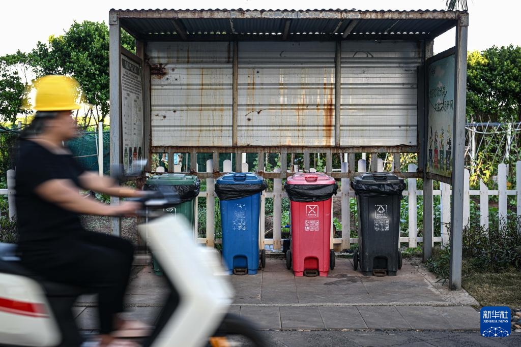 海南三沙赵述岛：从荒芜小岛到生态家园