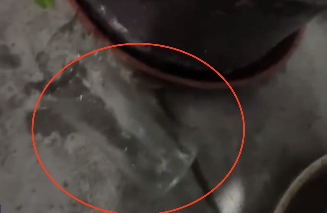 玻璃瓶“从天而降”砸中车辆,当地镇政府:多部门已介入 玻璃瓶“从天而降”砸中车辆,当地镇政府:多部门已介入