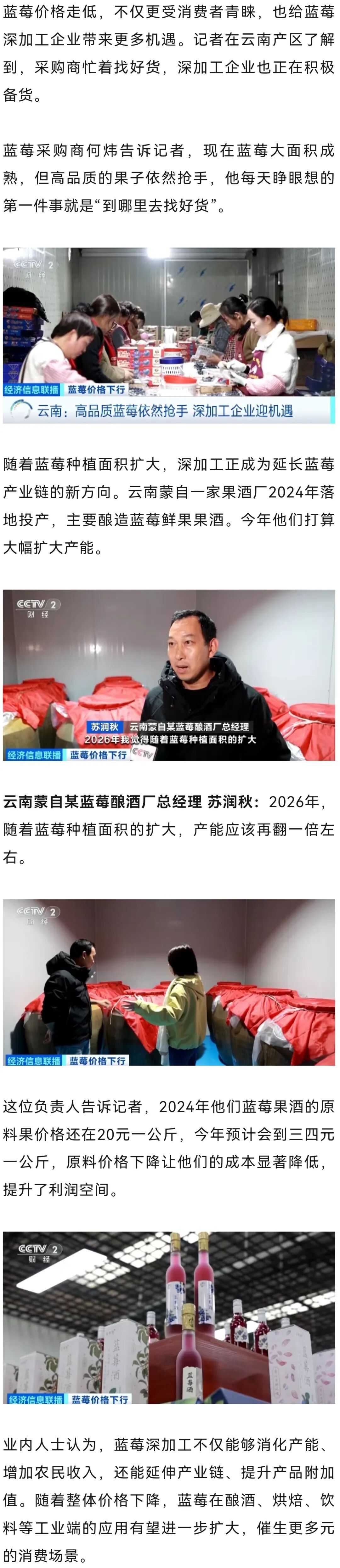 价格大跳水！你爱吃的这种水果集中上市，“按桶论斤”卖！