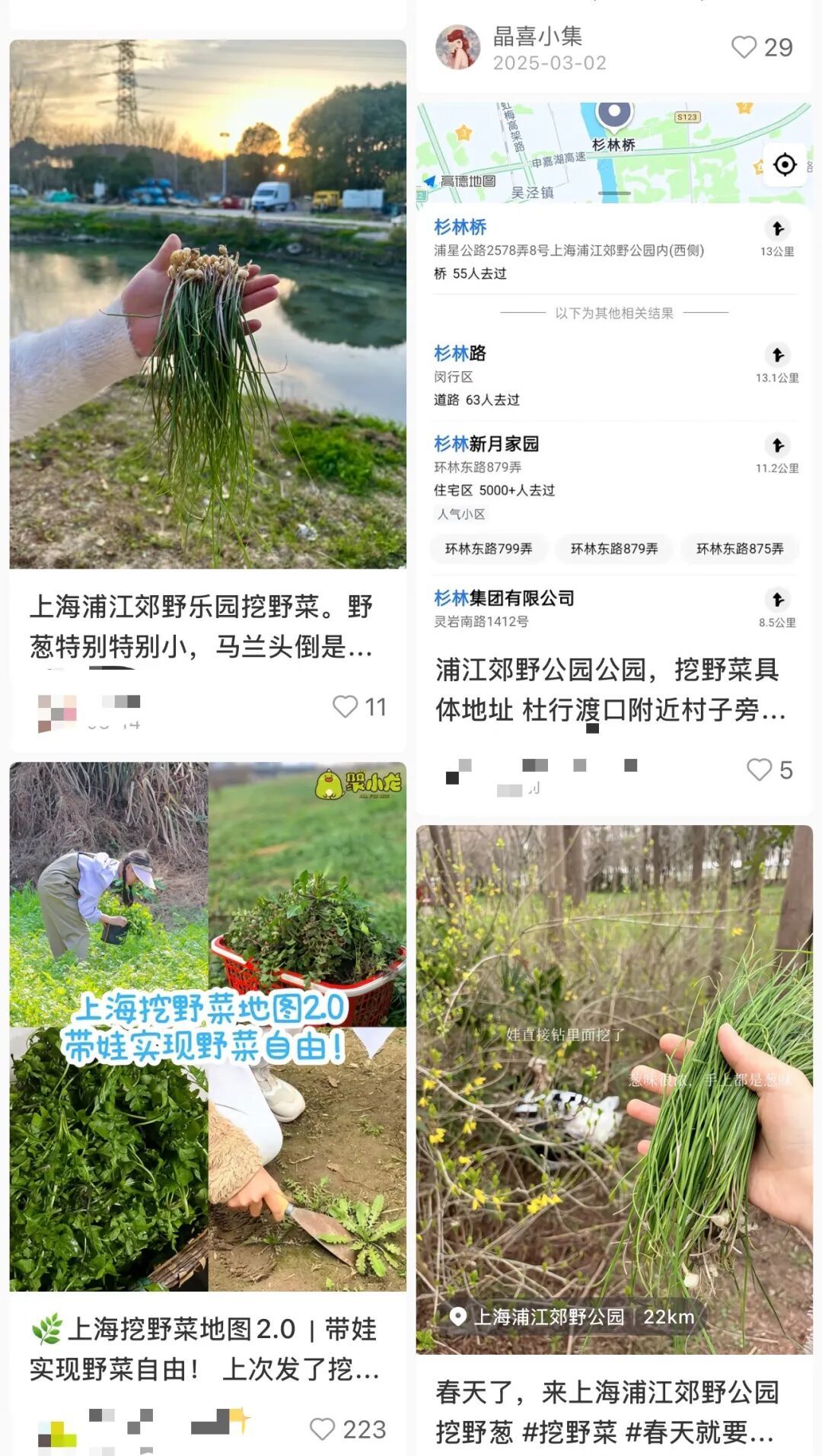 注意!最近大量出现,千万别乱吃!有人被紧急送医抢救 注意!最近大量出现,千万别乱吃!有人被紧急送医抢救