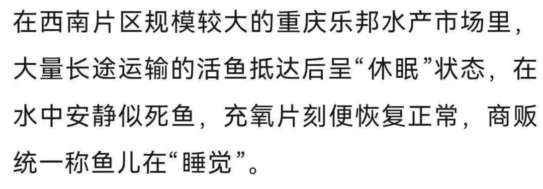 “活鱼被人为麻醉”,央视曝光多地水产市场、生产企业和餐饮门店 “活鱼被人为麻醉”,央视曝光多地水产市场、生产企业和餐饮门店