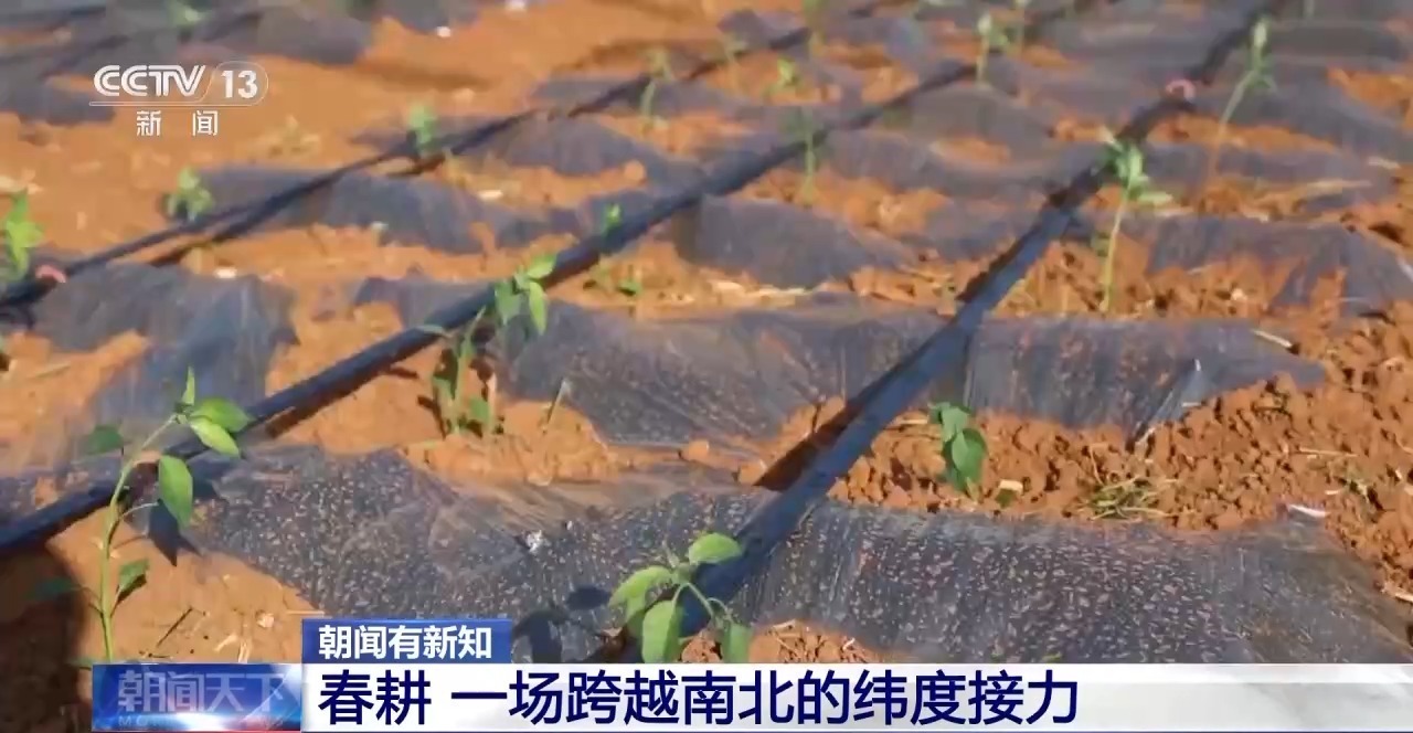 横跨90天 一场纵贯南北的春耕接力正在上演