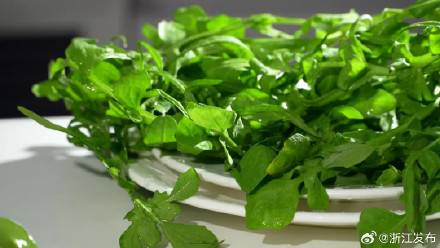 这种菜是春天野菜的代表,解锁春日鲜滋味 这种菜是春天野菜的代表,解锁春日鲜滋味