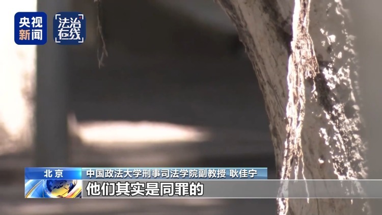 “梅姨”会有怎样的下场？法律专家：或判重刑甚至死刑