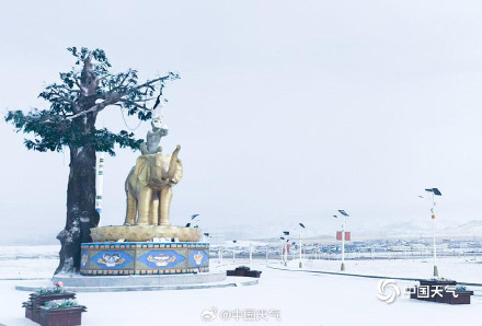 青海有的地方还在下雪