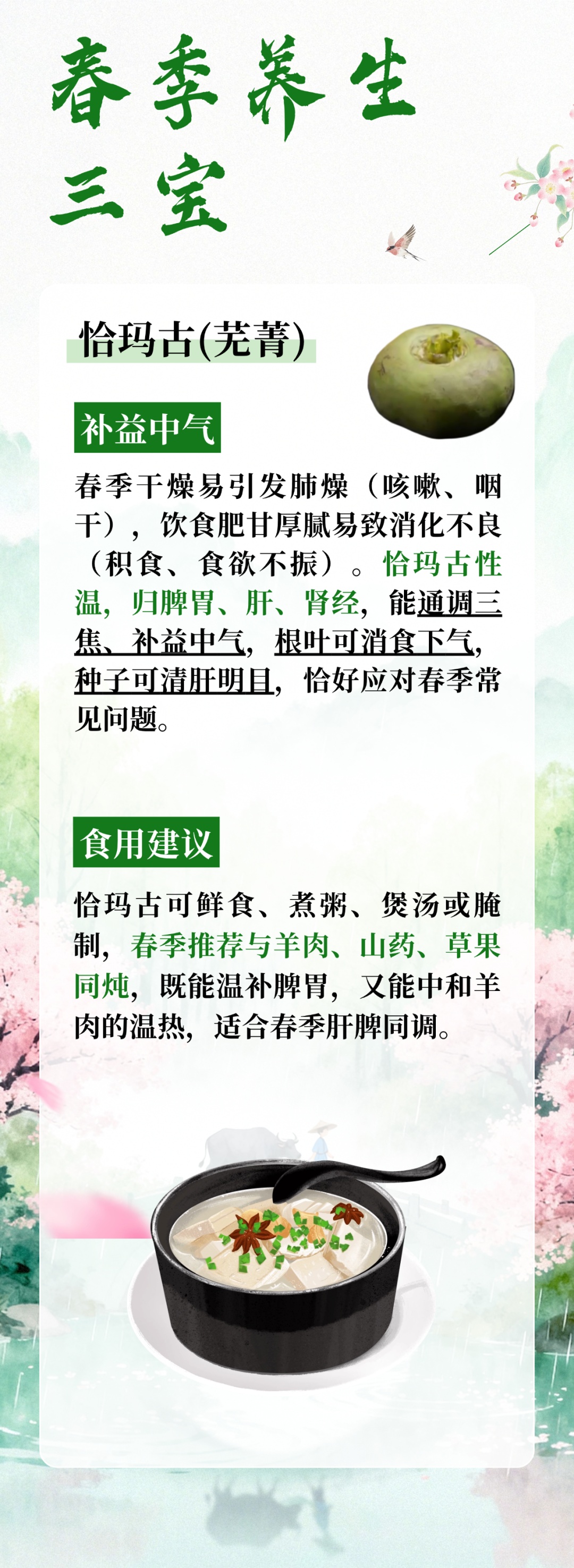 春养正当时!这颗“长寿豆”藏着养生密码,健脾、稳糖、护血管,全家都能吃 春养正当时!这颗“长寿豆”藏着养生密码,健脾、稳糖、护血管,全家都能吃