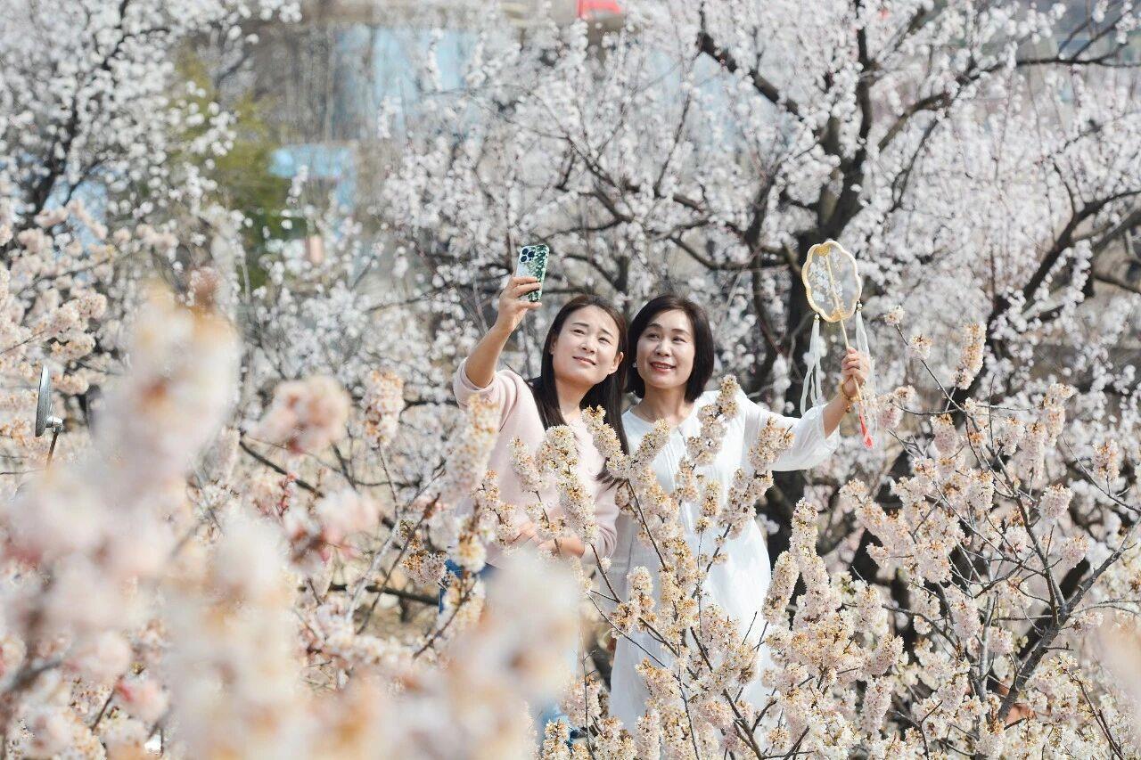 春装可以登场了 下周北方多地气温将创新高 春装可以登场了 下周北方多地气温将创新高