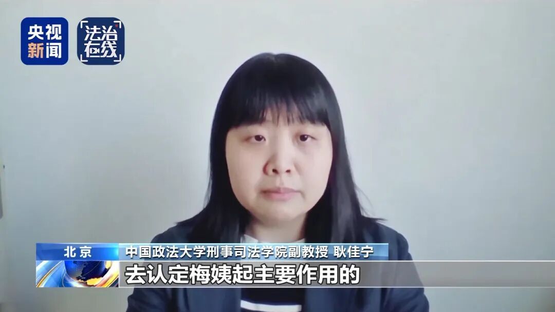 “梅姨”如何落网?何时公布照片?案件侦办细节来了 “梅姨”如何落网?何时公布照片?案件侦办细节来了