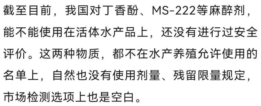 “活鱼被人为麻醉”,央视曝光多地水产市场、生产企业和餐饮门店 “活鱼被人为麻醉”,央视曝光多地水产市场、生产企业和餐饮门店