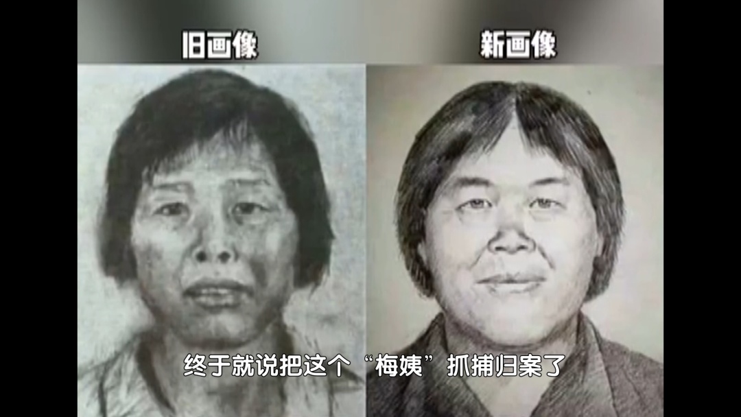 拐卖9名儿童 人贩子“梅姨”落网了! 拐卖9名儿童 人贩子“梅姨”落网了!