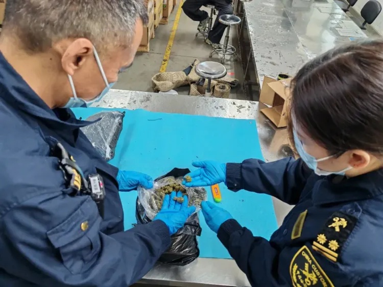广州海关在广州白云机场口岸查获一批毒品大麻，重4089.04克