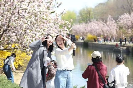 “元大都的海棠开了吗？”最新预测