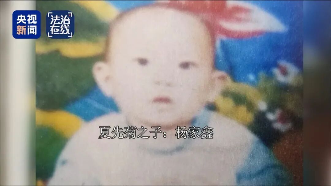 “梅姨”落网全过程揭秘