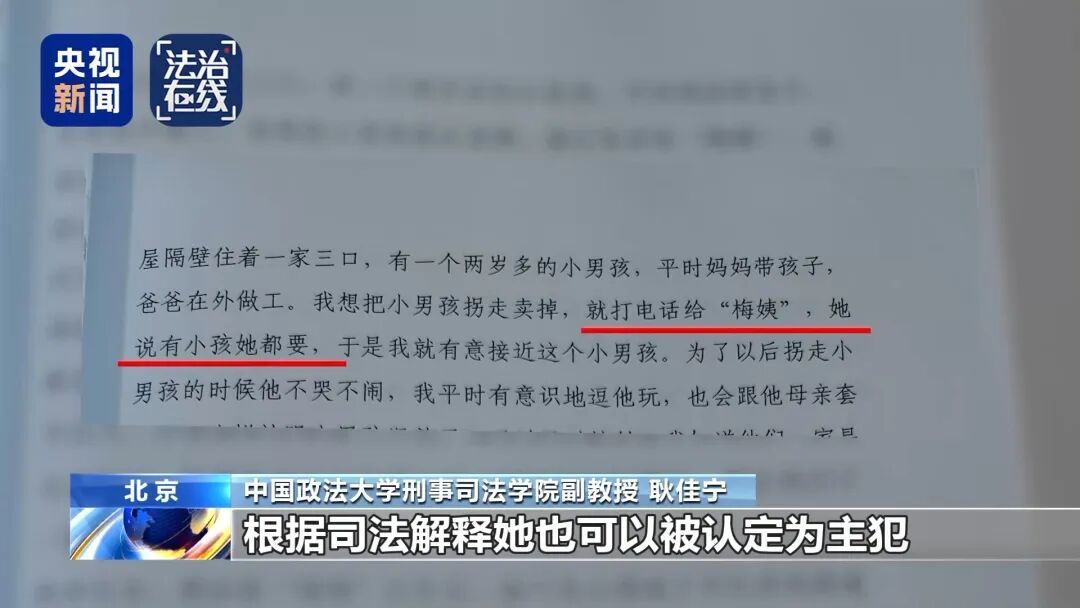 “梅姨”如何落网?何时公布照片?案件侦办细节来了 “梅姨”如何落网?何时公布照片?案件侦办细节来了