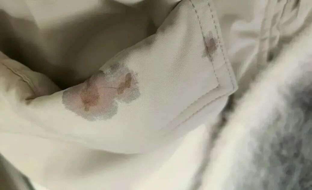 千万别踩！广东街头大量出现“黑色小果子”