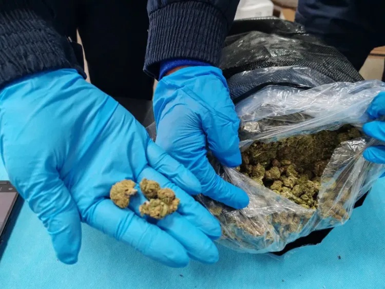 广州海关在广州白云机场口岸查获一批毒品大麻，重4089.04克