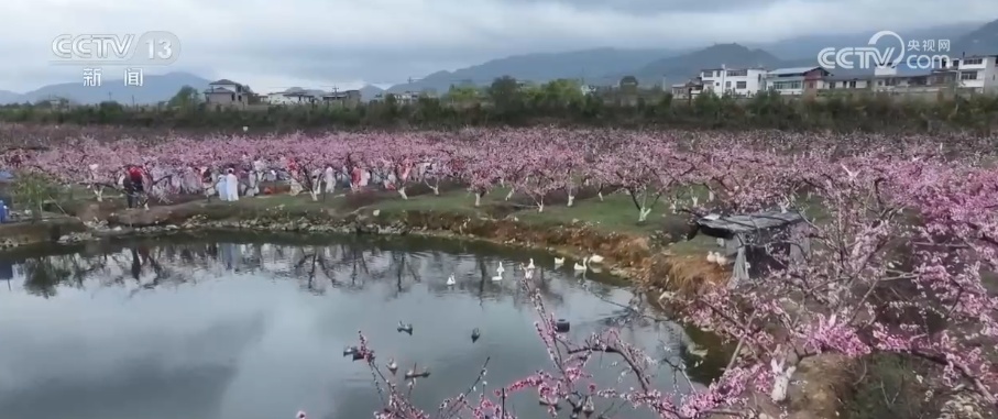 以花为“媒”、以食“留”客、以景“引”客 撬动“春日经济”好前景