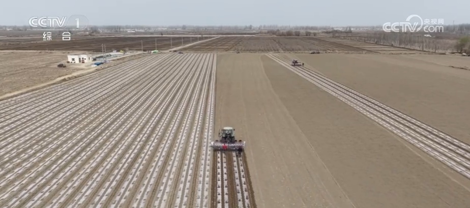“慧”耕“慧”种护航春耕生产 新质生产力在希望的田野上落地见效