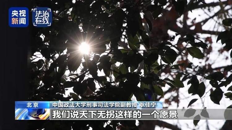 “梅姨”如何落网？何时公布照片？警方披露案件侦办细节