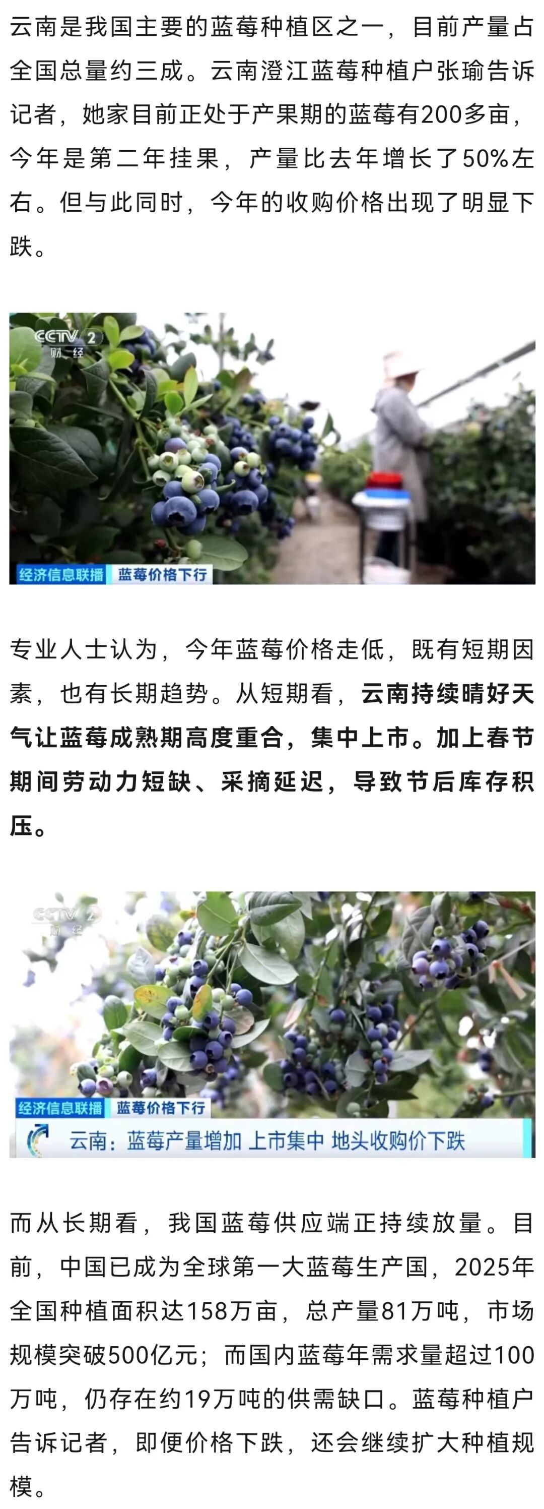 价格大跳水！你爱吃的这种水果集中上市，“按桶论斤”卖！