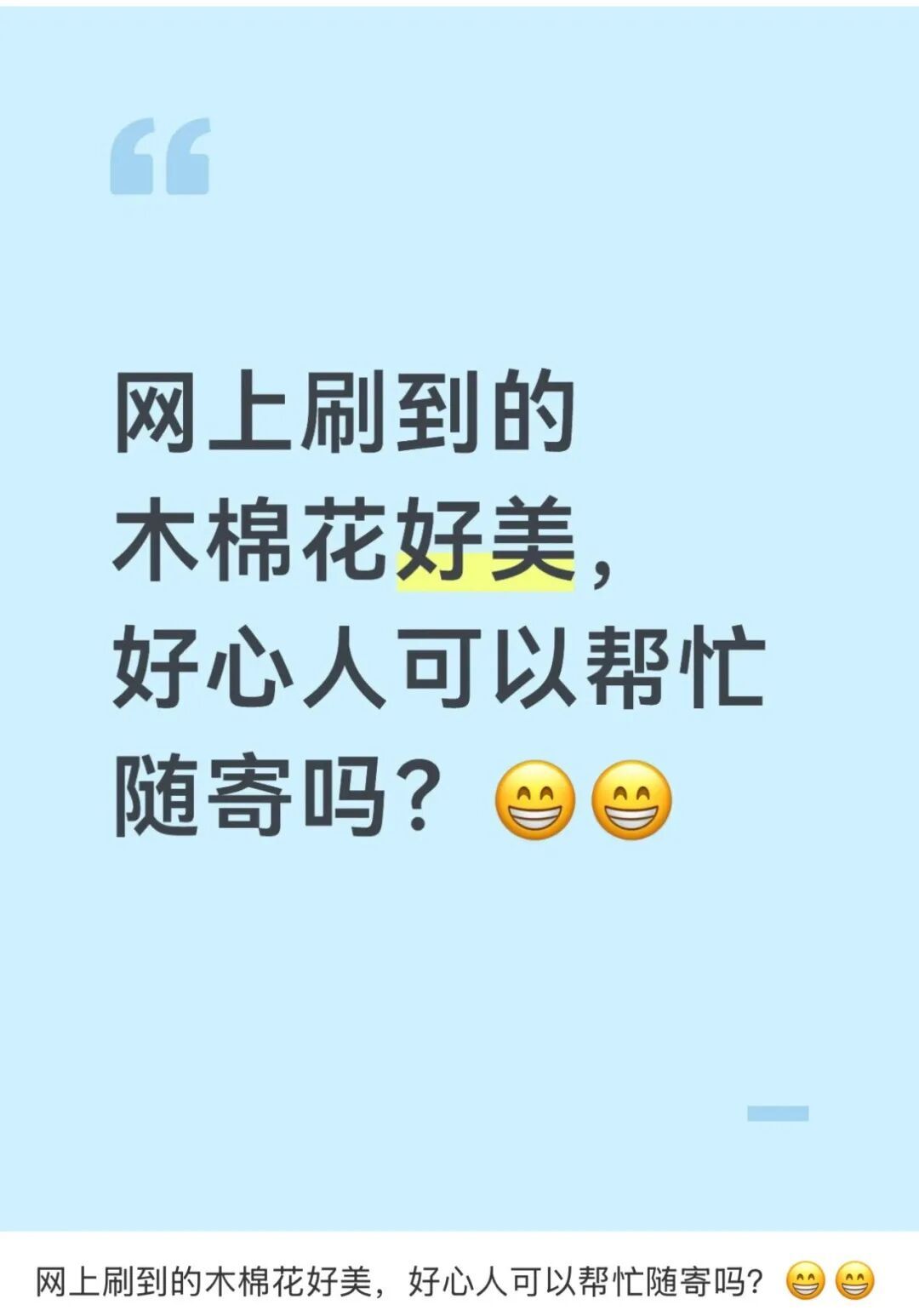 全国网友求邮寄!深圳的木棉花开到了东北的雪地里 全国网友求邮寄!深圳的木棉花开到了东北的雪地里