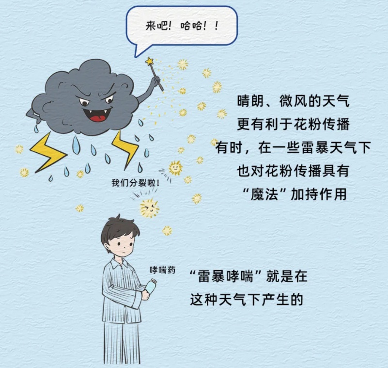 为啥“过敏星人”更需关注天气？花粉浓度与气象条件有何关联？