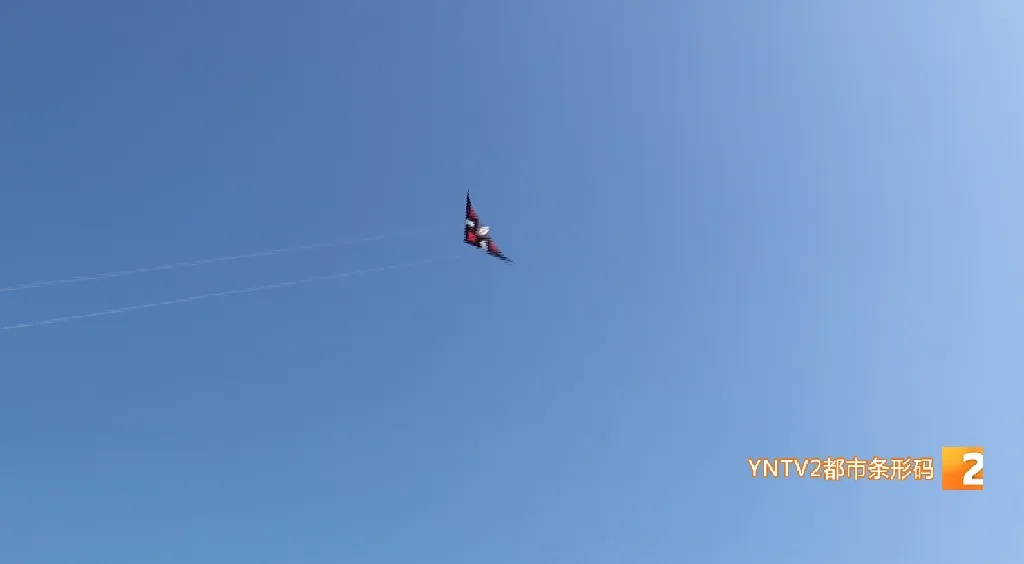 细小难发现，绷紧像把刀！这个季节小心被它伤到