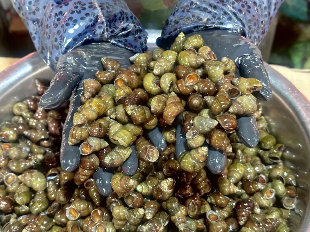 10元/斤，最近这一口“鲜货”正肥！摊主：一天上百斤不够卖