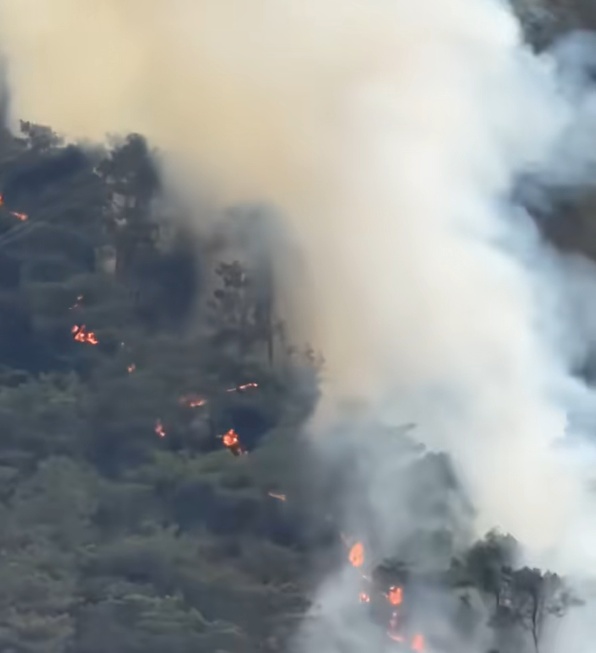 刑拘！广东2名男子随手扔烟头，引发山火，官方通报详情→
