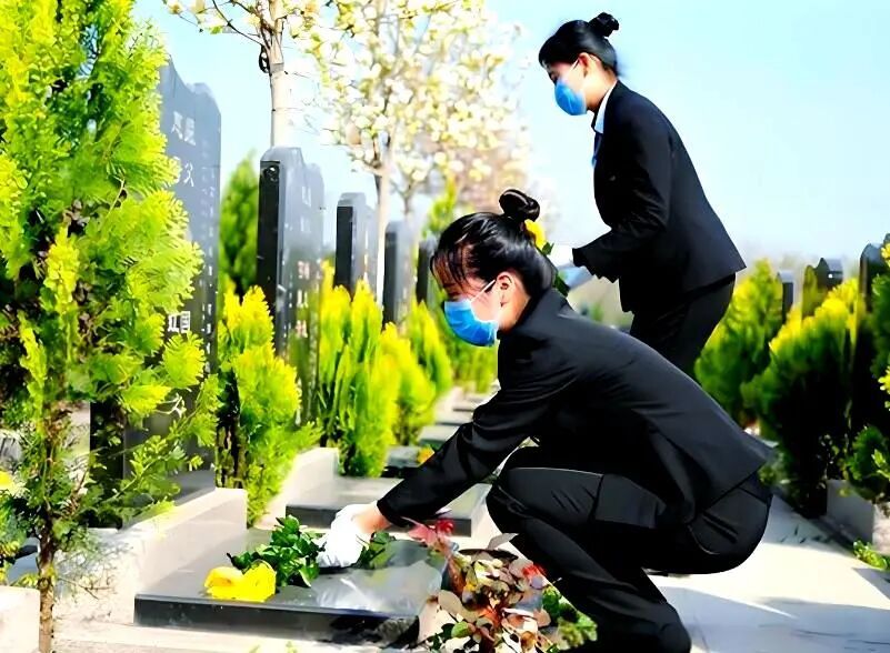 北京迎来2026年清明祭扫高峰！这份祭扫出行攻略请查收