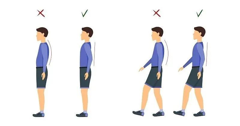 一个比散步还简单的动作，每天10分钟，就能改善体态！