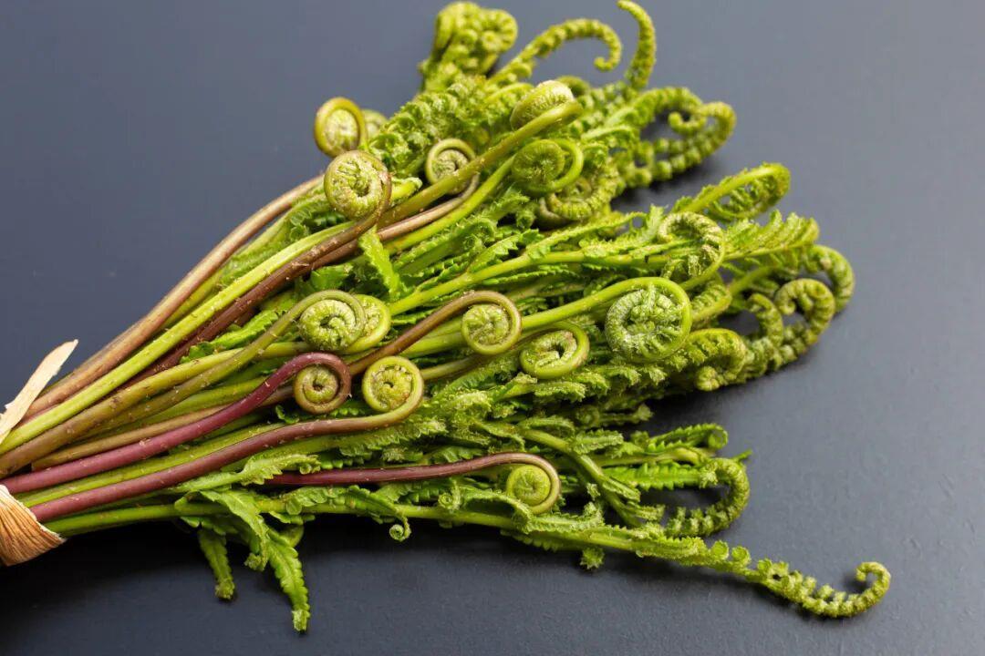 春菜尝“鲜”正当时 这样吃美味又健康