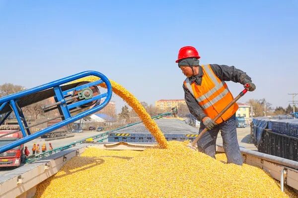 哈铁精准施策推动“北粮南运”高效运输