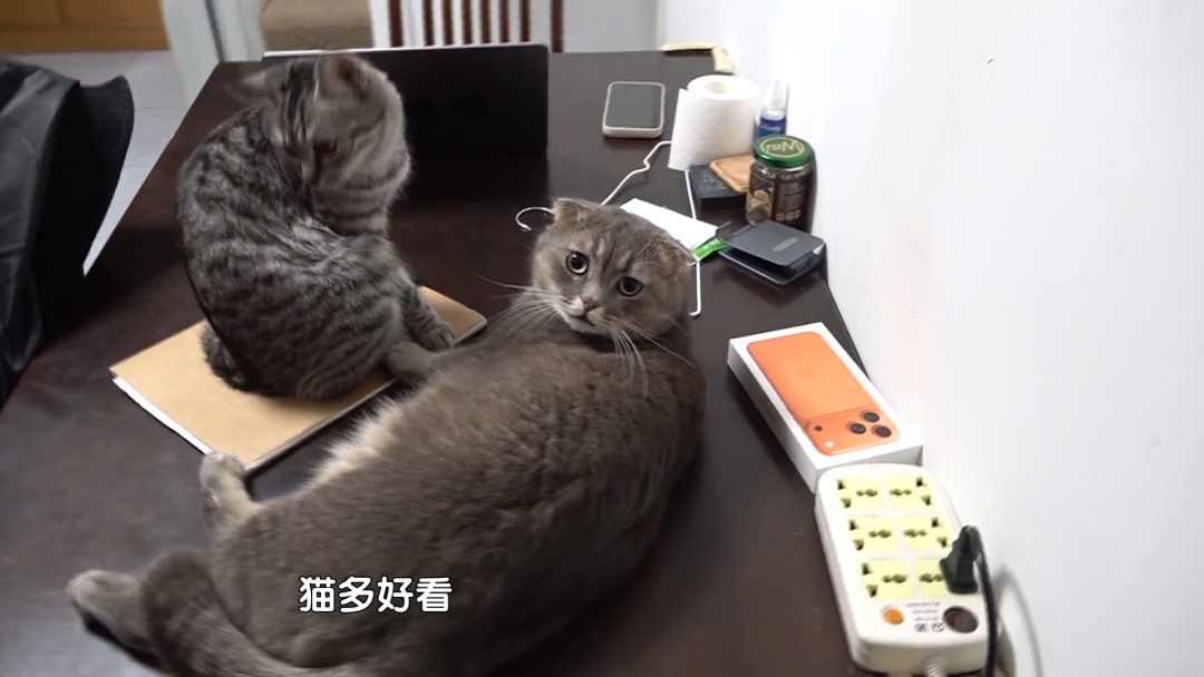 每到深夜，卫生间传来异响！北京警察：破案了！