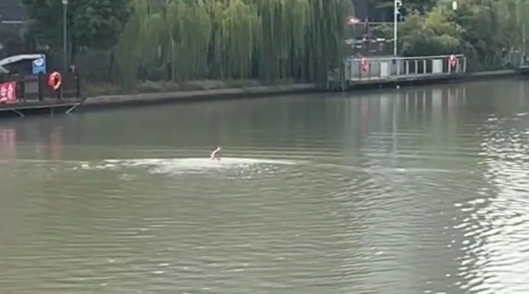 惊心！上海陆家嘴水环现老人野泳，到底安全吗？网友热议