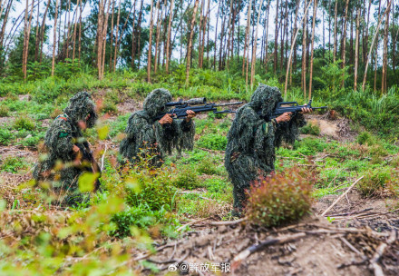 直击武警官兵实战化训练